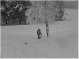 Kranjski Rak - Gradišče (Velika planina)